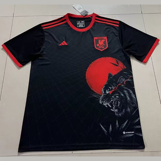 Japan international jersey