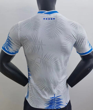 Brazil international jersey